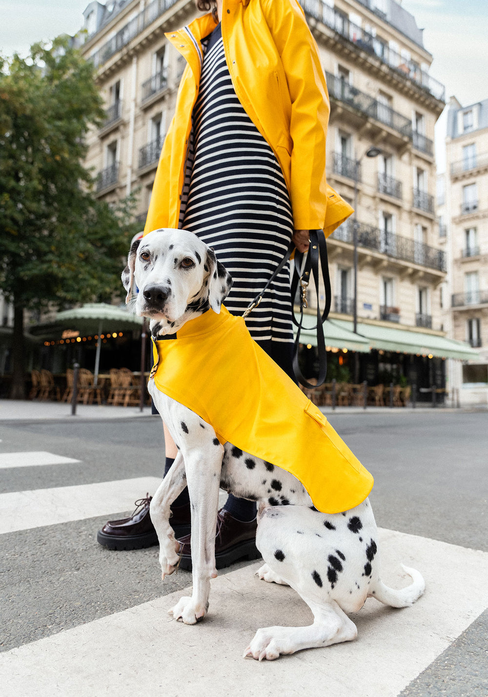 Impermeable para perro Toutouciré (JAUNE)